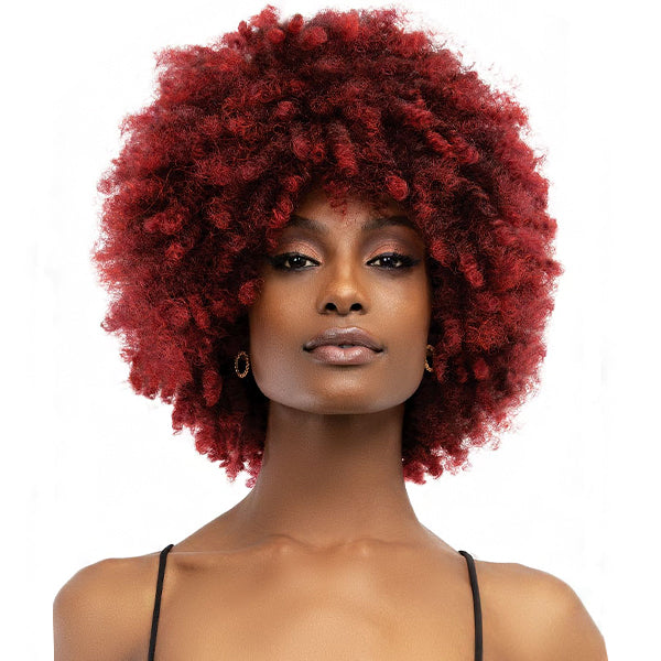 Janet Collection Natural Curly Synthetic Hair Wig - NATURAL AFRO KANE