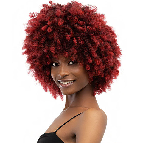 Janet Collection Natural Curly Synthetic Hair Wig - NATURAL AFRO KANE