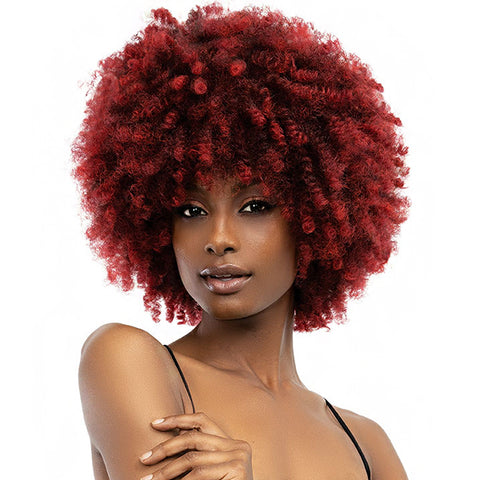 Janet Collection Natural Curly Synthetic Hair Wig - NATURAL AFRO KANE