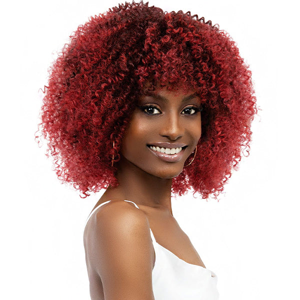 Janet Collection Natural Curly Synthetic Hair Wig - NATURAL AFRO LEON