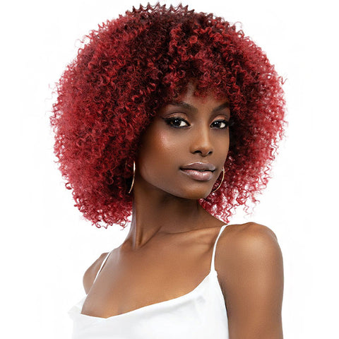 Janet Collection Natural Curly Synthetic Hair Wig - NATURAL AFRO LEON