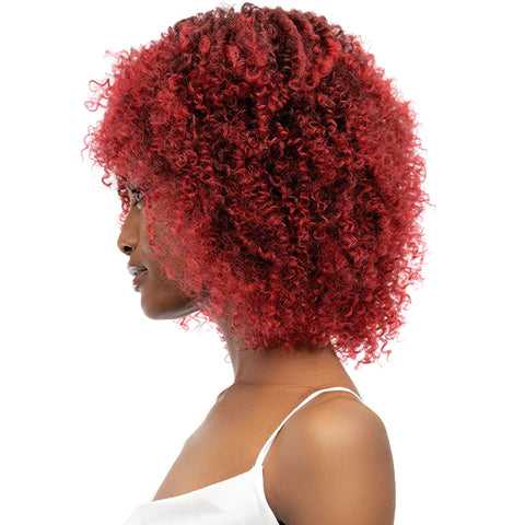 Janet Collection Natural Curly Synthetic Hair Wig - NATURAL AFRO LEON